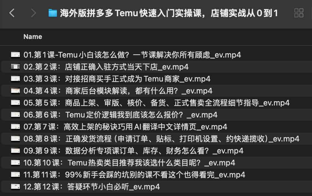 海外版拼多多Temu快速入门实操课，店铺实战从0到1.jpg